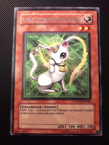 Rinyan - yu-gi-oh!,